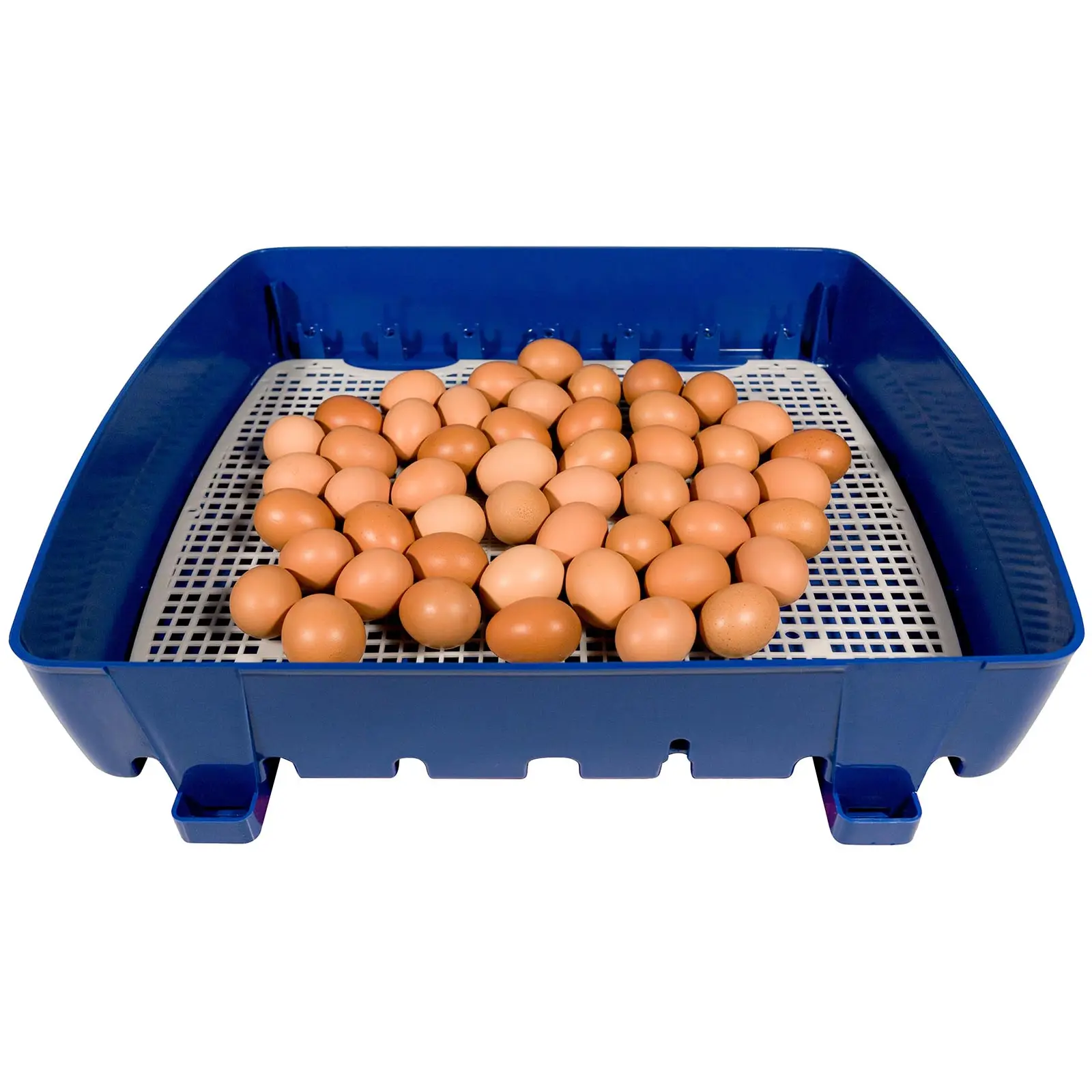 Couveuse à œufs semi-automatique - 49 œufs